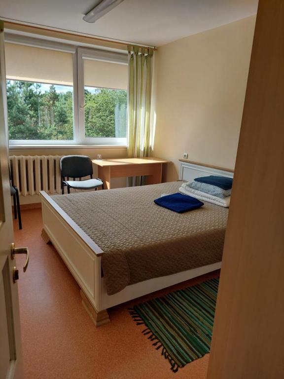 RietavasVšĮ Veiklus Rietavas apgyvendinimas的一间卧室配有一张床、一张书桌和一个窗户。