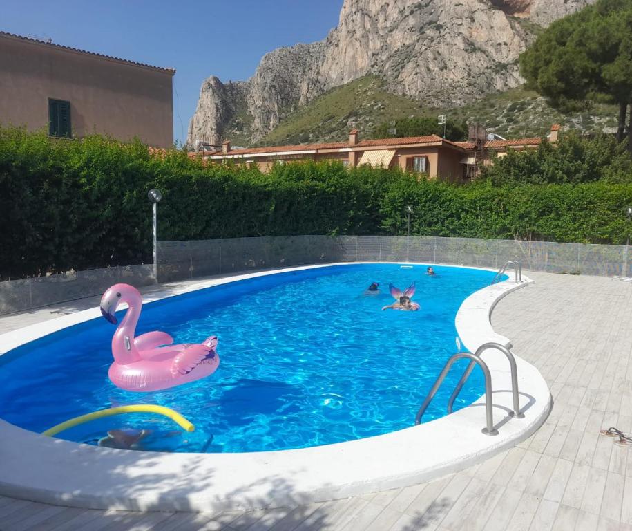 巴勒莫Villa Eufrosine的水中带粉红色火烈鸟的游泳池