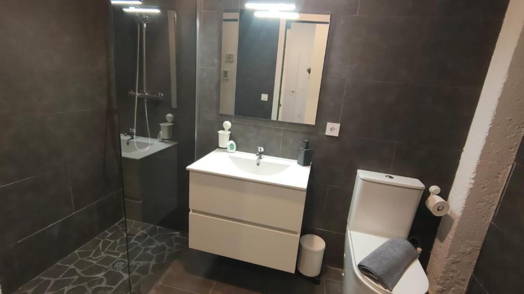 瓦伦西亚Small and Cozy Rooms - G10的一间带水槽、卫生间和镜子的浴室