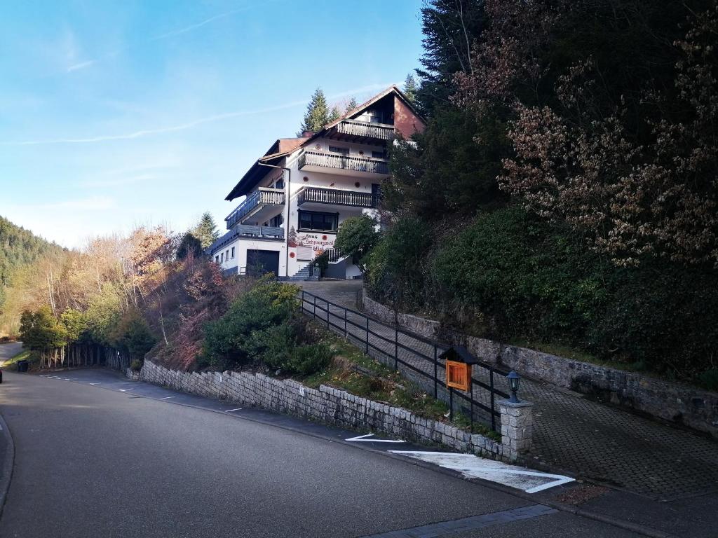 霍恩贝格Haus Schwarzwaldblick的山边有路的房子