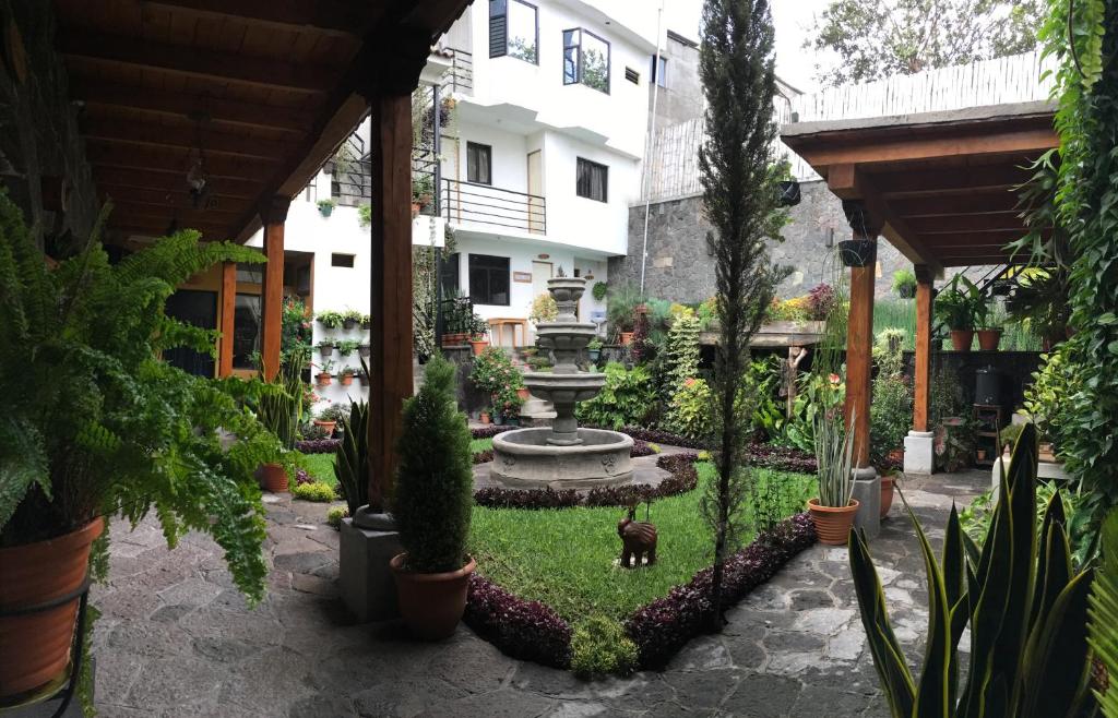 圣地亚哥阿蒂特兰Casa Josefa Hotel的花园中设有喷泉和一条狗