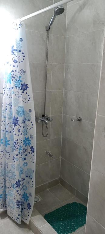 埃斯克尔Departamento Del Sol (Esquel-Chubut)的蓝色和白色的淋浴帘