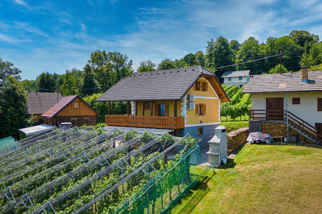 ČrnomeljVineyard Cottage Stepan - Happy Rentals的一座带房子和温室的大花园