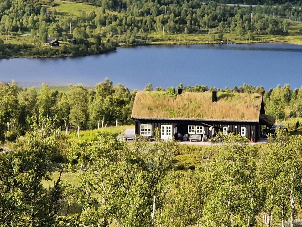 TorvetjørnGuroli - Mountain Lodge的湖畔小山上有草屋顶的房子