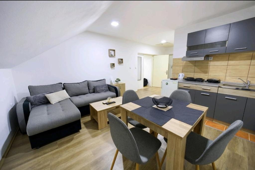 索科矿泉村Apartman Luki的带沙发和桌子的客厅以及厨房。