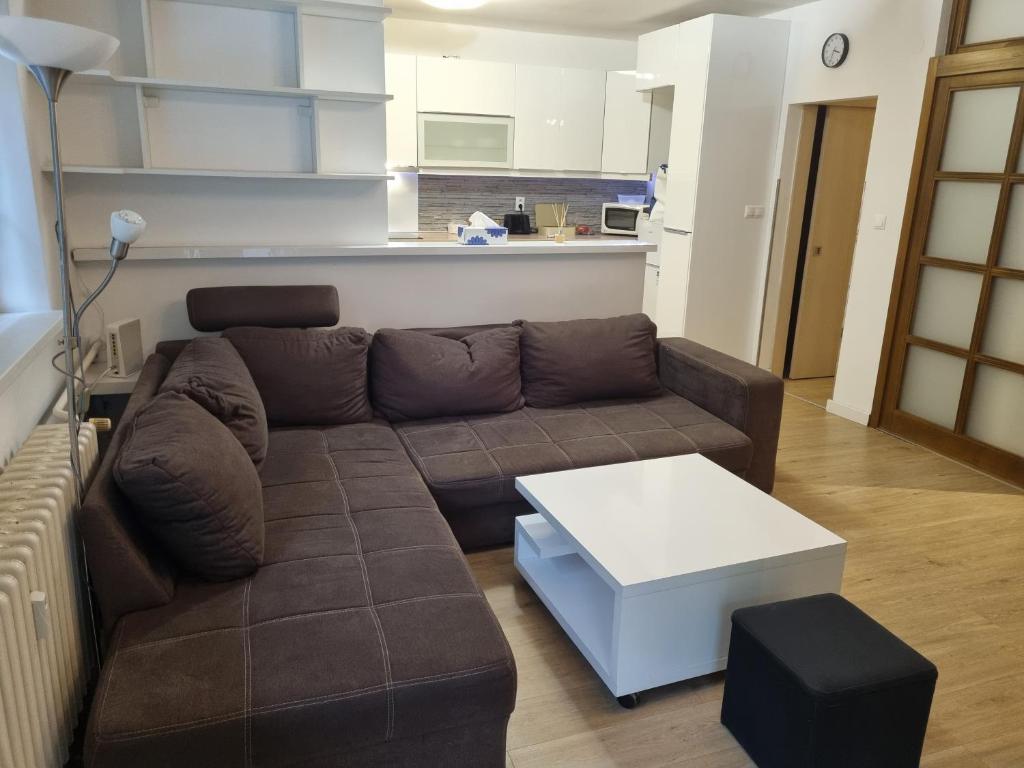 布拉迪斯拉发FAMILY Apartmán v centre mesta Bratislava的客厅配有棕色沙发和桌子