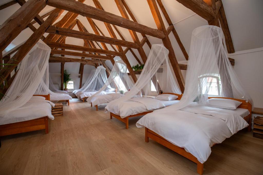 布拉格Women's Only Hostel - Female Only的一间设有一排带蚊帐的床的房间