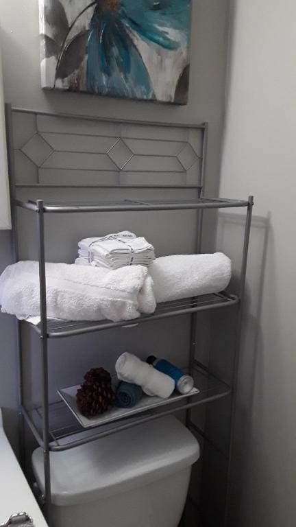 LaureltonJfk Resorts World的浴室位于卫生间上方,配有毛巾架
