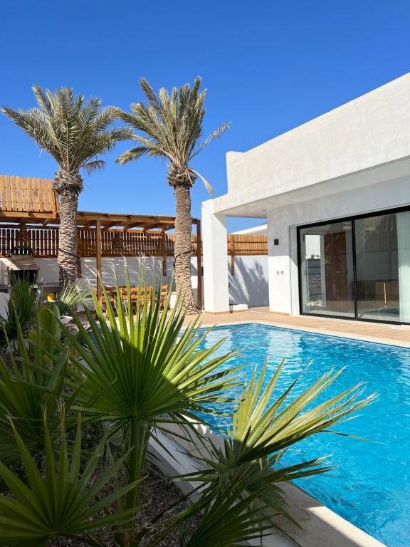 DjerbaVilla de luxe sans vis-à-vis à 2 min de la plage的棕榈树别墅和游泳池