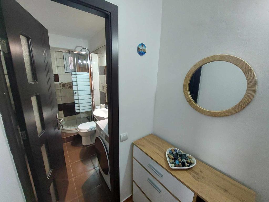 普洛耶什蒂Eugenia Apartament的浴室设有镜子、盥洗盆和卫生间