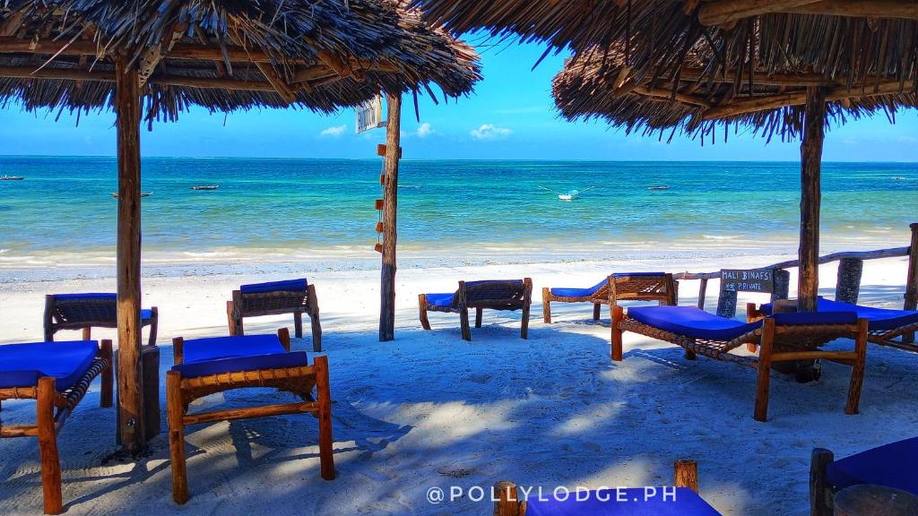 吉汶瓦Polly Lodge Bungalow Zanzibar Kiwengwa的海滩上设有椅子和遮阳伞,还有大海