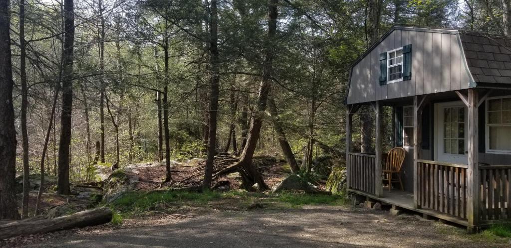 Mount StormAbrams Creek Campground的树林中的一个小房子