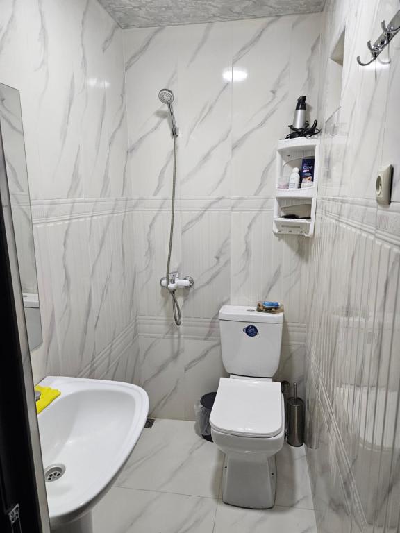埃里温Galstyans Home EVN Airport的白色的浴室设有卫生间和水槽。