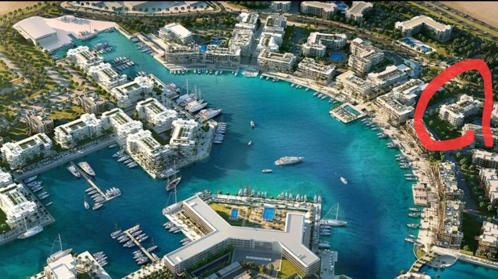 阿莱曼Marassi Marina的海港和码头的空中景观
