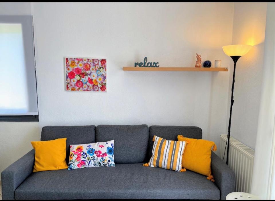 科莫蒂尼Sunny & Bright的客厅里带色彩缤纷的枕头的灰色沙发