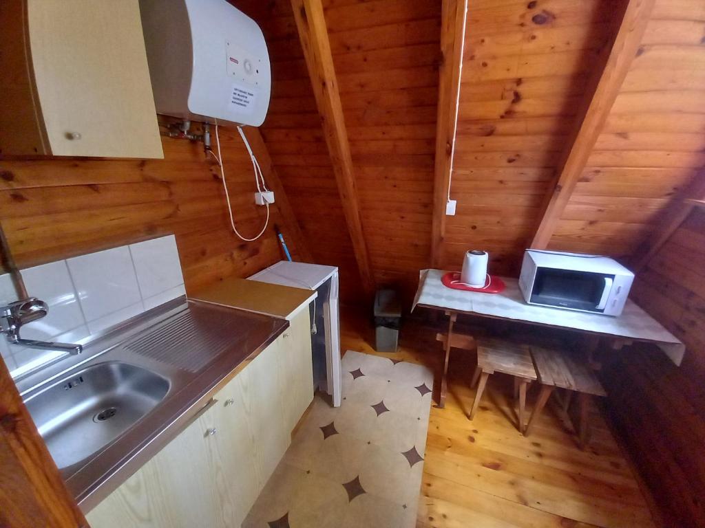 凯蒂赖贝西Domki Letniskowe KORMORAN的一间带水槽和微波炉的小厨房