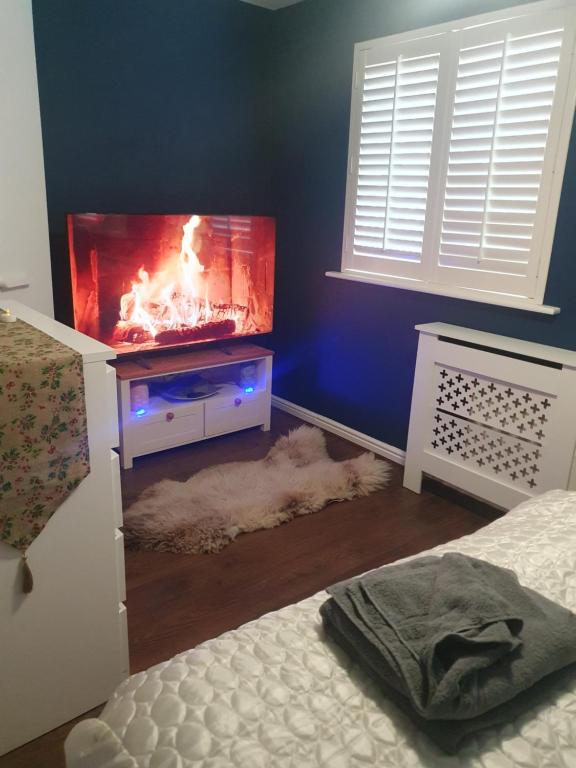 唐克斯特Sunningdale的一间卧室配有一张床和一台带壁炉的电视。