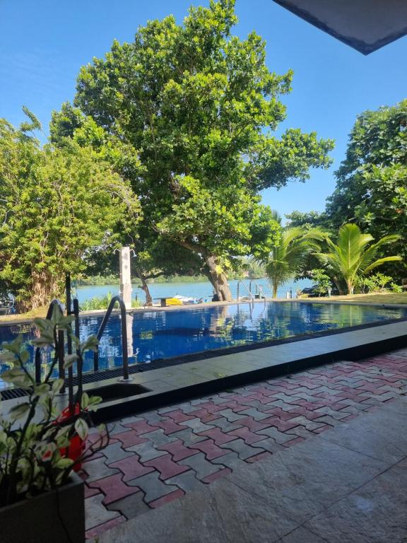 阿鲁特伽马茉莉度假屋的享有度假村游泳池的景致