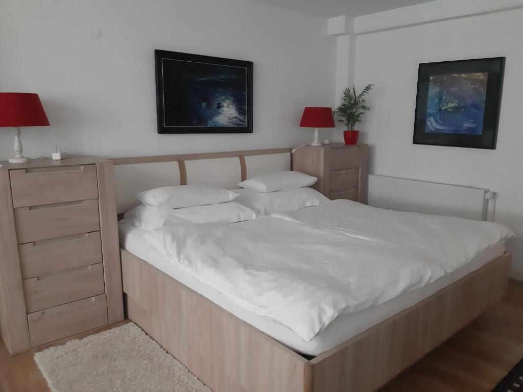 什科菲亚洛卡伯格莱姿公寓的卧室配有一张带白色床单和枕头的大床。