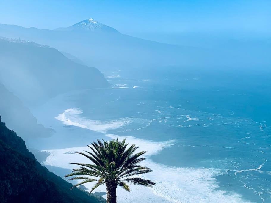 塔科龙特Cliffhanger spectacular view over North Coast的棕榈树坐在海滩上