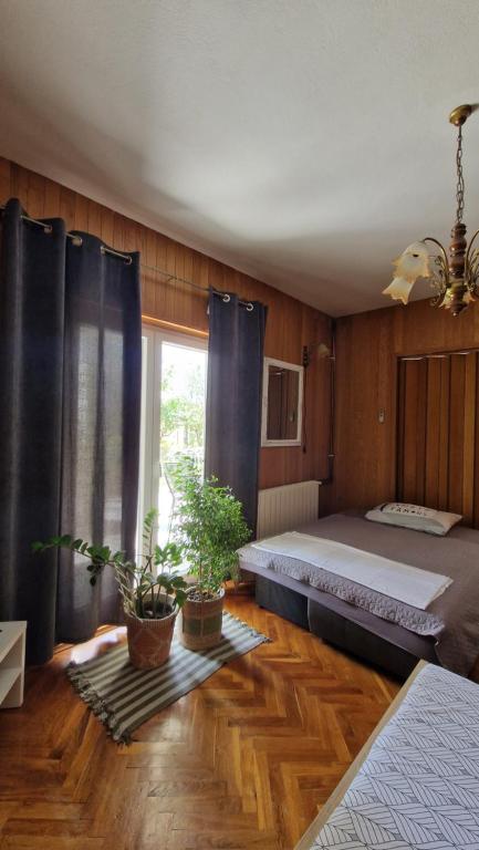 卡斯特尔·斯塔费力克Dobrić的一间卧室配有一张床和两盆植物