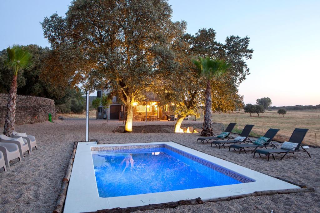 MejoradaFinca San Benito, piscina privada, a estrenar!的庭院中间的游泳池,有椅子和树木
