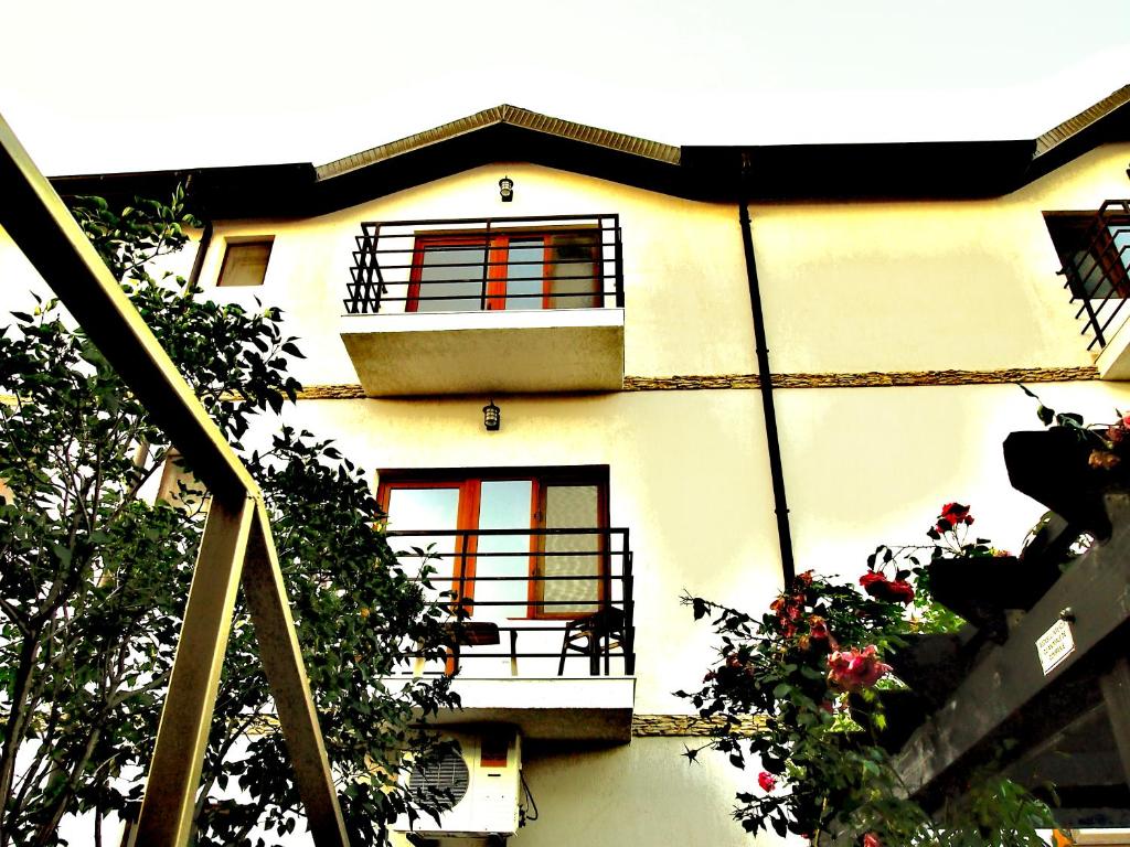 科斯蒂内什蒂Vita de vie estival的带阳台和鲜花的白色建筑