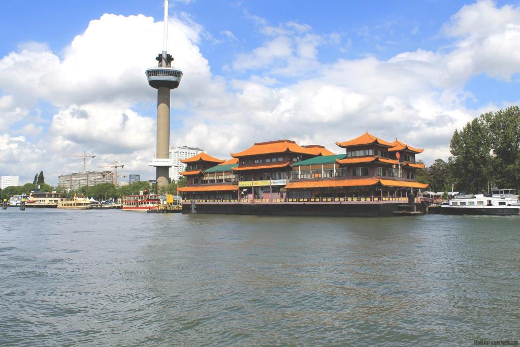 鹿特丹新海洋乐园酒店的水面上的建筑,有塔楼
