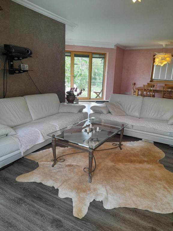 开姆尼茨Wildes Paradies,135 qm Ferienwohnung im Naturgarten的客厅配有白色沙发和玻璃桌
