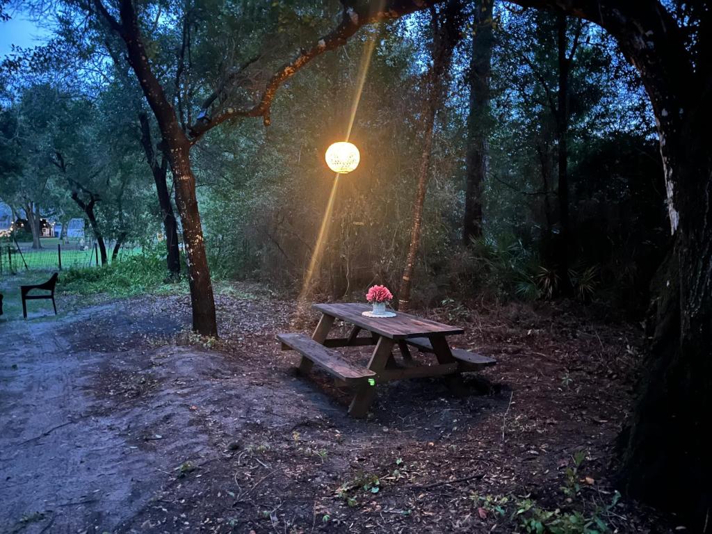 德兰Your Personal 'Glamp' Site! AC - BBQ - Fast WiFi的一张野餐桌,上面有灯