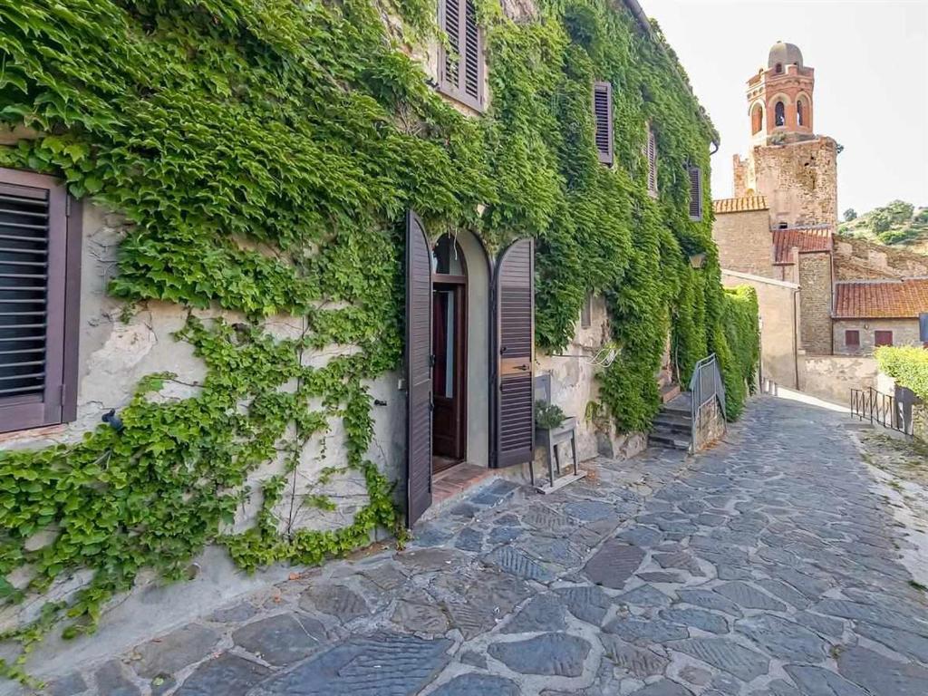 卡斯蒂里昂纳·德拉佩La Casina di Rosi vivere nellantico borgo的一座常春藤覆盖的建筑,有门和石头街道
