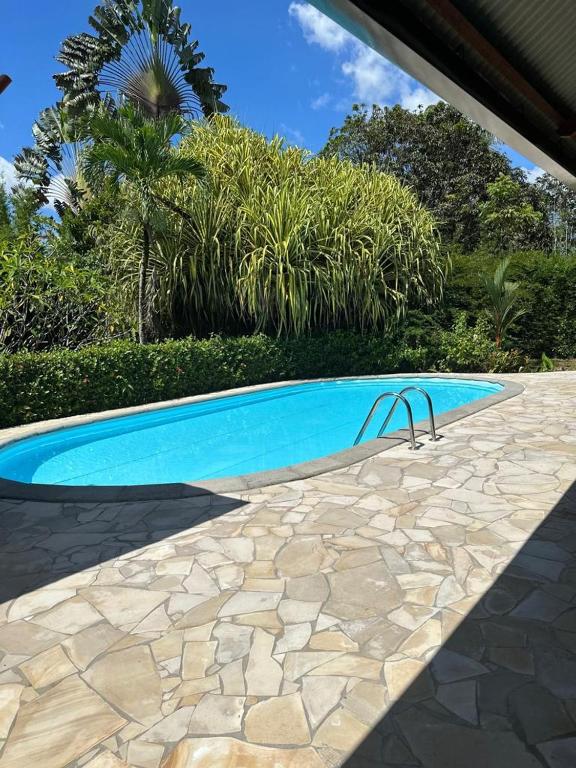 马罗尼河畔圣洛朗Villa REYDISIA的蓝色游泳池,旁边设有石头走道
