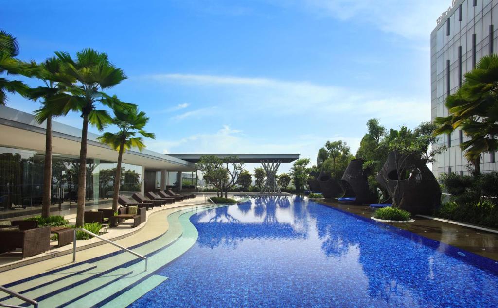 万隆希尔顿万隆酒店的一座游泳池,里面摆放着椅子和棕榈树
