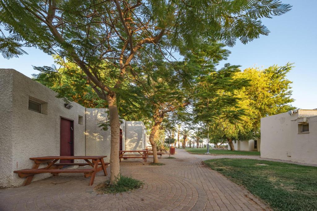SPNI Eilat Field School外面的花园