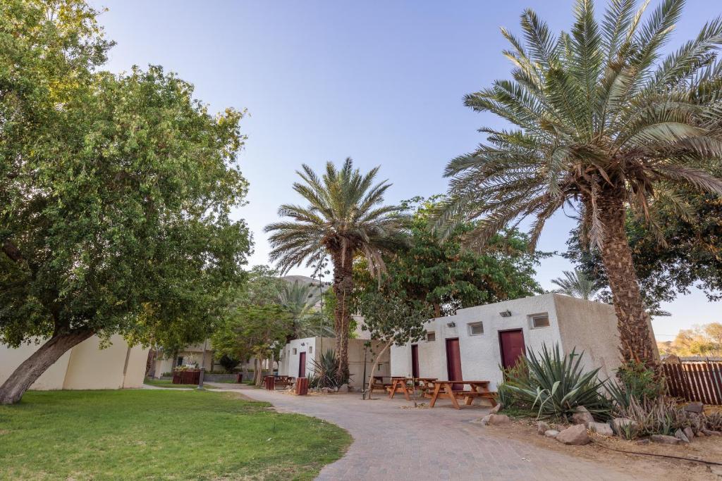 SPNI Eilat Field School外面的花园