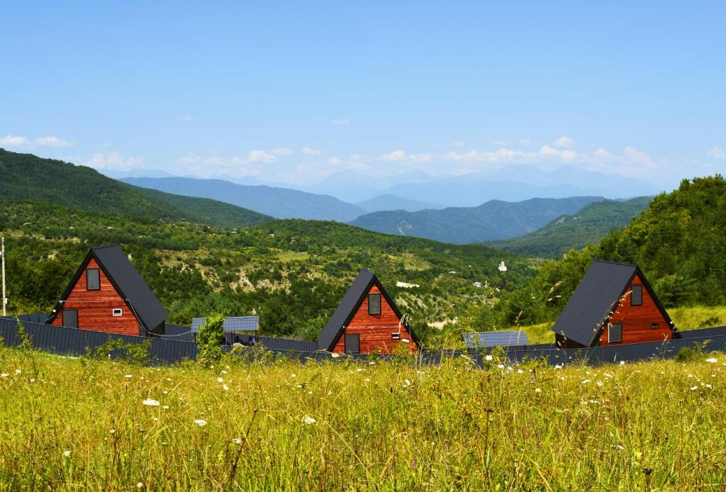 安布罗劳里Panorama Racha的一群在田野上的小山上的小屋