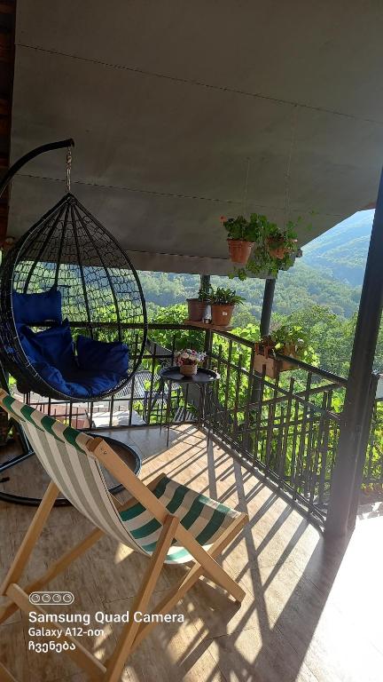西格纳吉Cherqe Guest House的美景阳台配有吊床和椅子