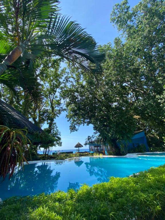 曼巴豪甘米金岛黄金日落海滩俱乐部度假村的一座种有树木的游泳池,一座背景海洋