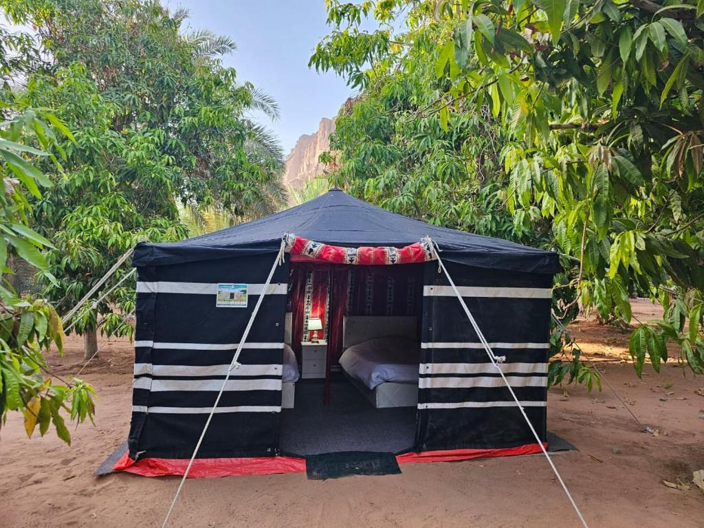 Al-DisahMango Farm Camp的蓝色帐篷,配有一张床