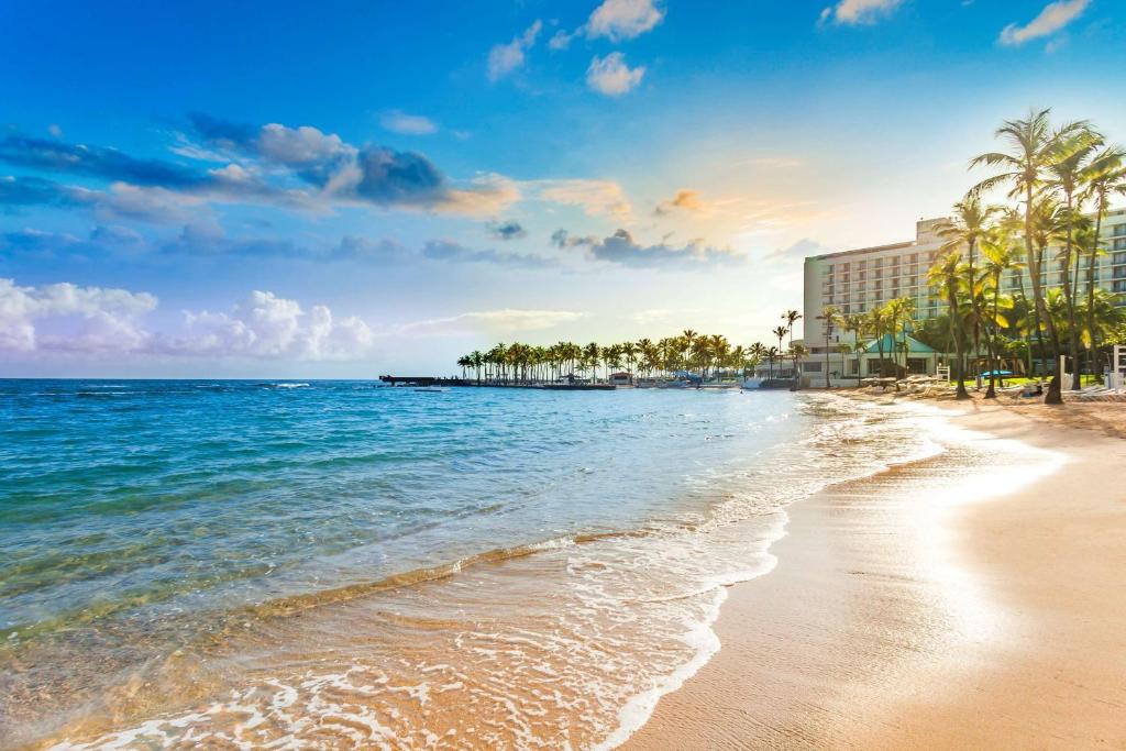 圣胡安卡里波希尔顿酒店的一片拥有酒店和棕榈树的海滩,以及大海
