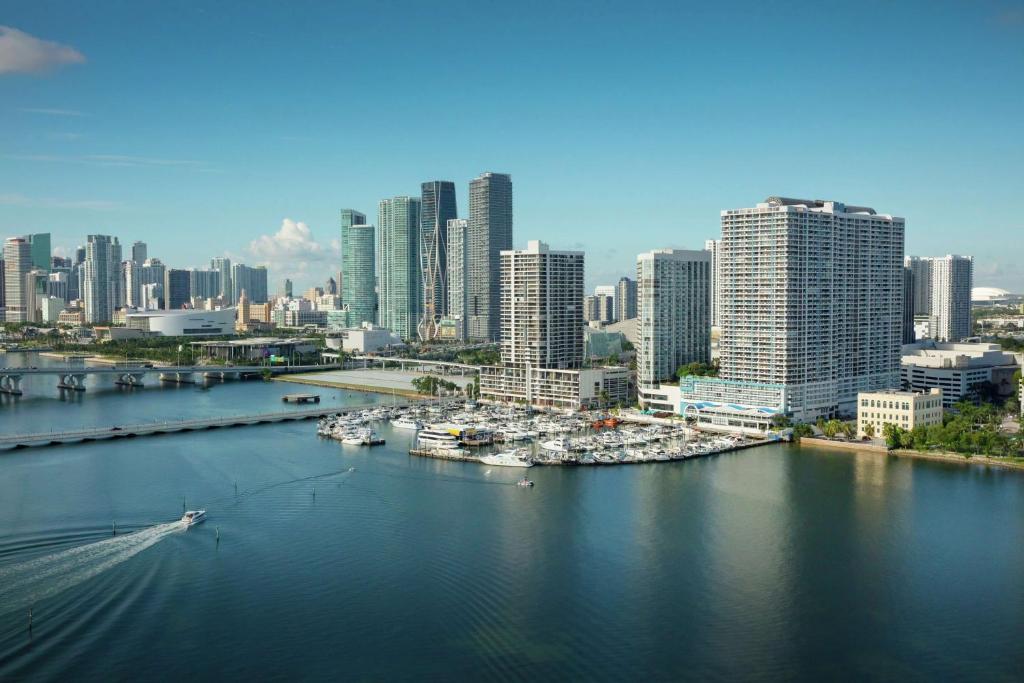 迈阿密比斯坎湾希尔顿逸林酒店的水中装有船只的港口城市