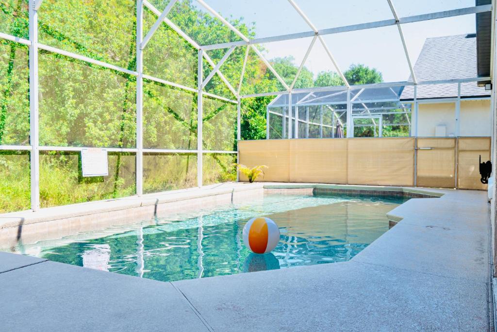 基西米Private house Kissimmee/Orlando的水中一个带有橙球的游泳池