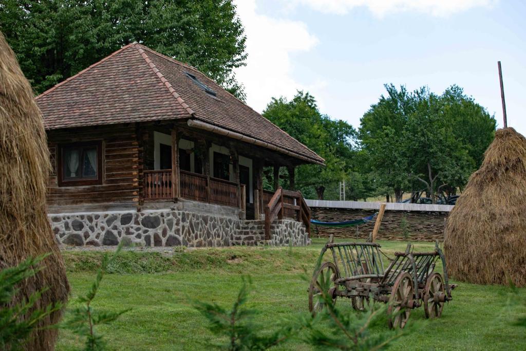 ŞinteuDue Fratelli Village Resort的前面有干草的小木屋