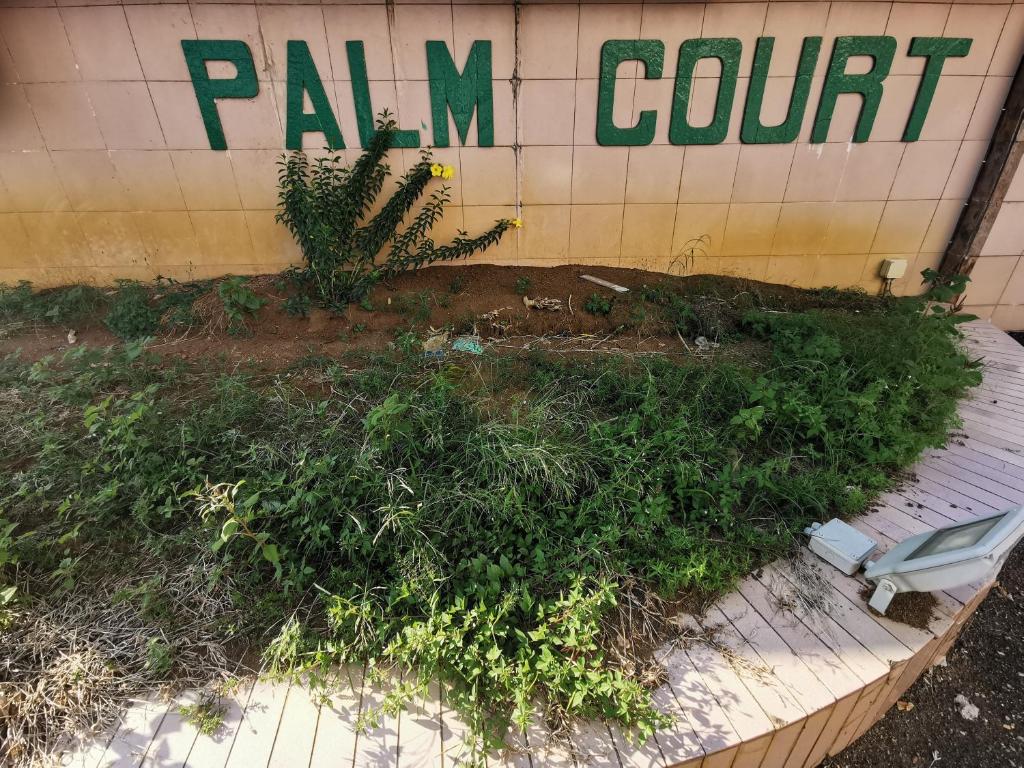 关丹DIY Palm Court Bedroom的前面有一堆植物的建筑