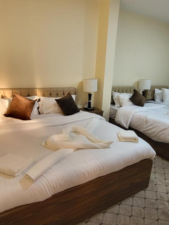 瓦迪穆萨Petra Hill的客房内的两张床和白色毛巾