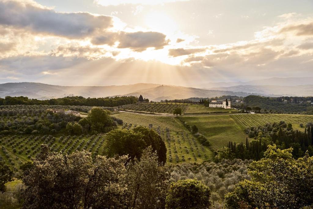 佩萨河谷塔瓦内莱COMO Castello Del Nero的享有葡萄园的景色,阳光照耀地平线