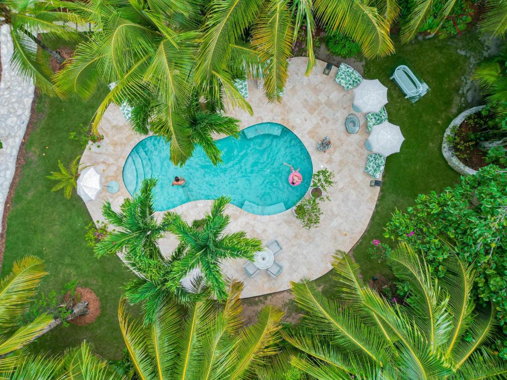 哈勃岛Fig Tree Harbour Island home的棕榈树庭院内游泳池的顶部景色