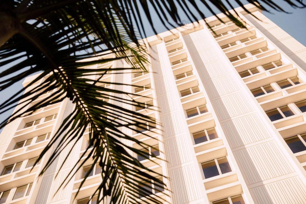洛杉矶Hotel June West LA, a Member of Design Hotels的一座高大的白色建筑,前面有一棵棕榈树