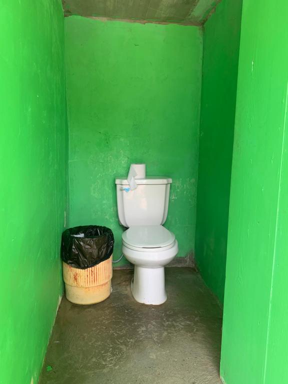 巴拿马城Diegun Tours的绿色的客房设有卫生间和垃圾桶