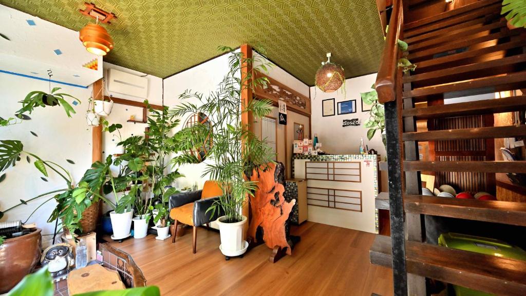 大阪Hostel Caranashi的一间有一堆植物的房间